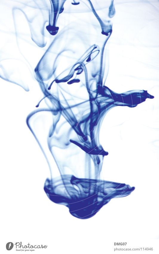 Ink 001 Lifestyle Stil schön Wellness Leben harmonisch Wohlgefühl Erholung Wasser Wassertropfen Fluss Bewegung Blühend Flüssigkeit blau weiß Gefühle Farbe Tinte