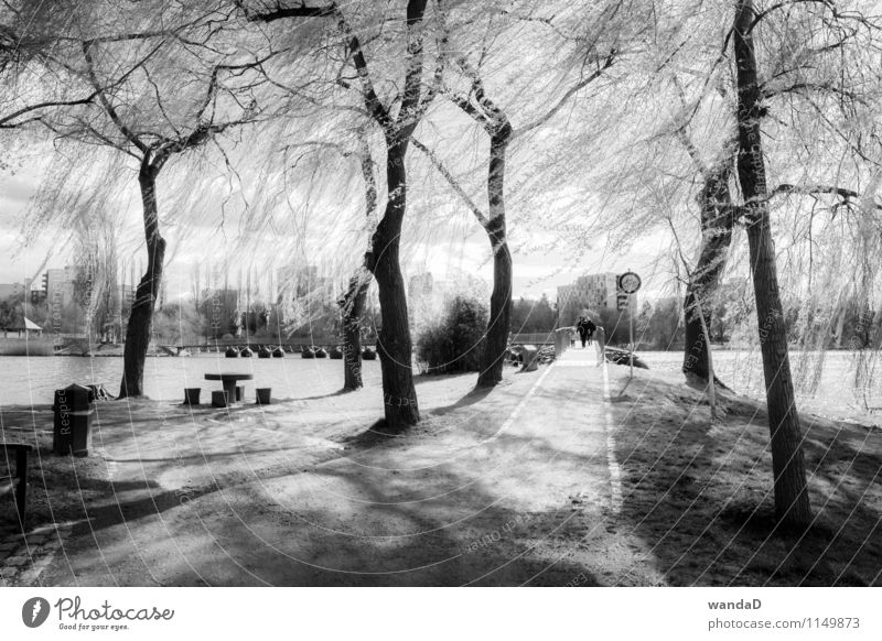 ___________ Natur Sonnenlicht Frühling Wind Baum Park See Stadt Wege & Pfade Tisch Bäncke Beton atmen beobachten Denken Erholung gehen genießen hören Blick