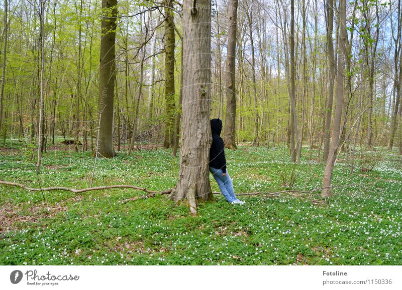 Meine Stütze Mensch feminin Mädchen Junge Frau Jugendliche Kindheit 1 Umwelt Natur Landschaft Pflanze Frühling Schönes Wetter Baum Blume Wald hell natürlich