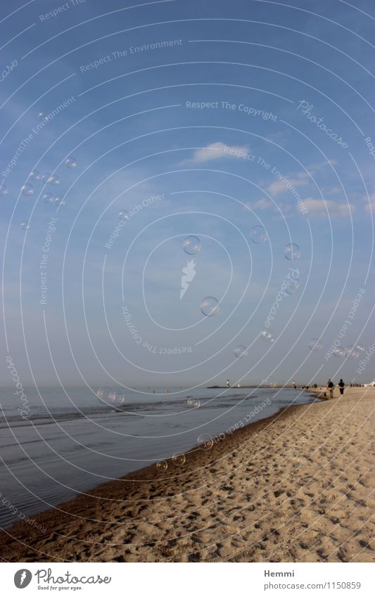 Seifenblasen am Strand Umwelt Natur Küste Seeufer Flussufer Erholung genießen Strandspaziergang Seenplatte Meer Ostsee Farbfoto Außenaufnahme Detailaufnahme