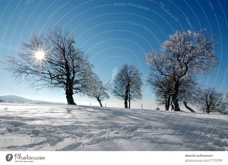 Weihnachtskarte 25 (die letzte !) Sonnenstrahlen Winter Schwarzwald weiß Tiefschnee Wintersport wandern Freizeit & Hobby Ferien & Urlaub & Reisen