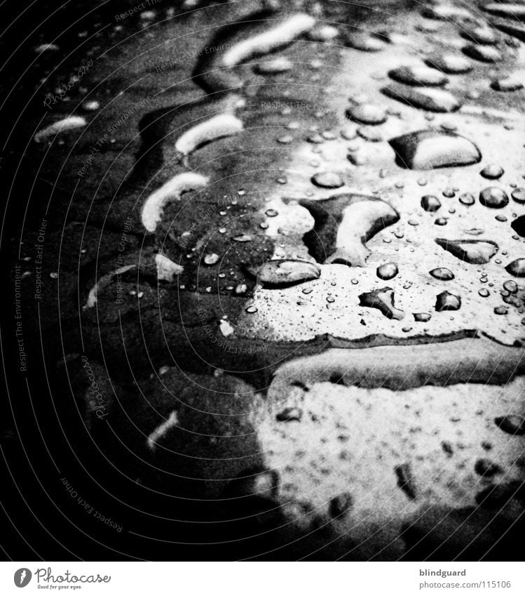Black Rain Again Nahaufnahme glänzend nass feucht Licht Unwetter rosa schwarz dunkel Umwelt Makroaufnahme Wasser Herbst Statue Lampe Wassertropfen light