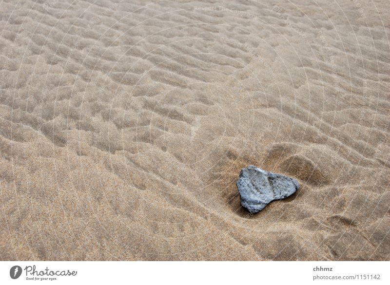 Stein im Sand Strand Wellen Strukturen & Formen Witterung Verwitterung feucht nass unberührt Meer