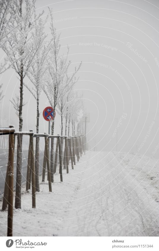 Winterlicher Radweg Schnee Eis Frost Bäume Nebel kalt Raureif Straße Strassenschild eisig kalt Parkverbot frieren gefroren Baum Außenaufnahme Kristallstrukturen