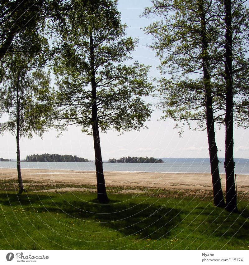 See-Idylle Baum ruhig Einsamkeit Strand Wasser Küste Natur Pflanze Schatten Schweden
