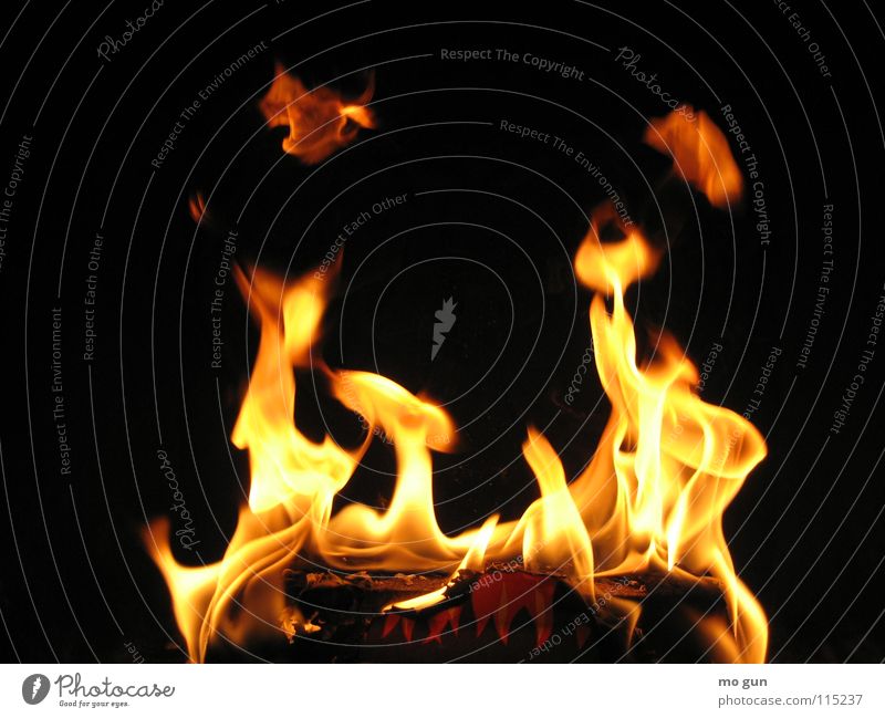 Flammen Kamin brennen Kaminfeuer heiß gemütlich Romantik Licht Grillen Nahaufnahme gefährlich Physik Hölle schwarz zünden Feuer Brand Chili hot cooking cozy