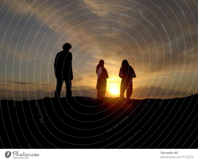 Nachtschattengewächse Pflanze Norwegen Sonnenuntergang Physik Küste genießen Freude 3 Aussicht Wolken himmelblau Student ursprünglich gehen stehen Strand schön