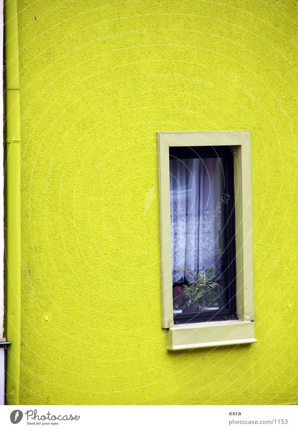 Hauswand Wand Fenster Gebäude Gardine Fensterbrett gelb Mauer Architektur