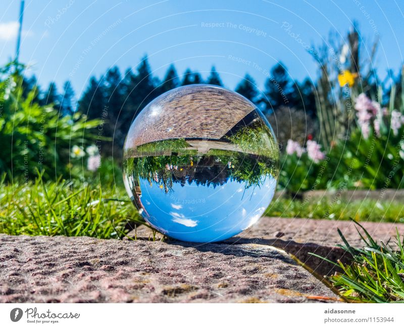 Glaskugel im Frühling Kunst Kunstwerk Skulptur achtsam ruhig "glas glaskugel" Kristalle Kugel Garten Park Farbfoto mehrfarbig Außenaufnahme Menschenleer Tag