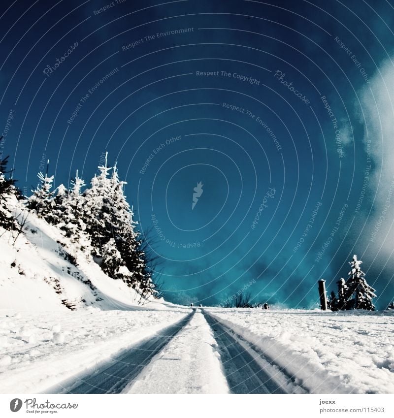 Ab ins Blaue … Ausdauer Froschperspektive kalt Landschaft Skilanglauf Loipe Furche Gleise Schneedecke Schneelandschaft Tanne vorgaukeln Wald weiß Winter Wolken