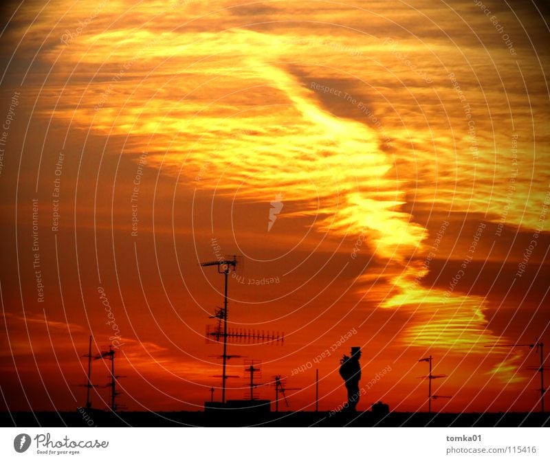 AUF SENDUNG | rot gelb Wolken Sonnenuntergang Licht Abend Dach Antenne Schornsteinfeger Mann Mondsüchtig Außenaufnahme Himmel Strukturen & Formen Abenddämmerung