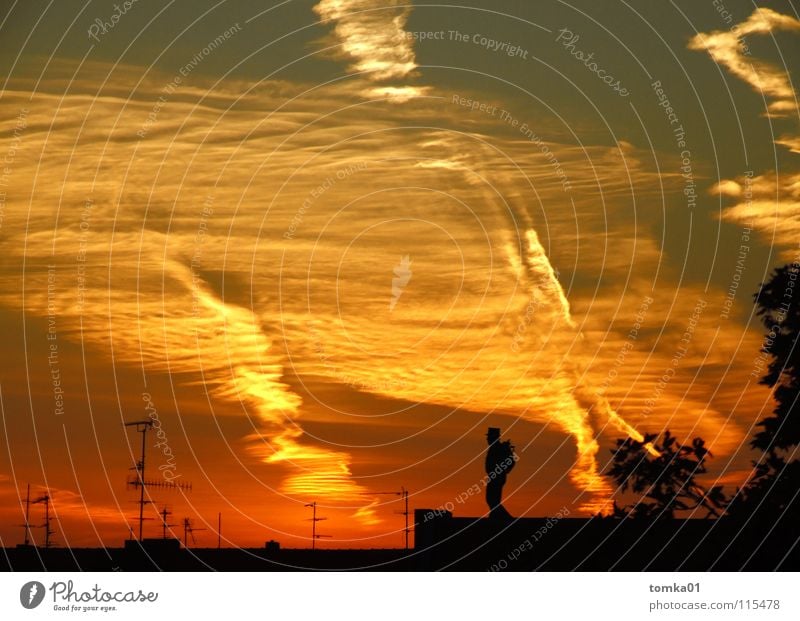 AUF SENDUNG || rot gelb Wolken Sonnenuntergang Licht Abend Dach Antenne Schornsteinfeger Mann Mondsüchtig Außenaufnahme Himmel Strukturen & Formen