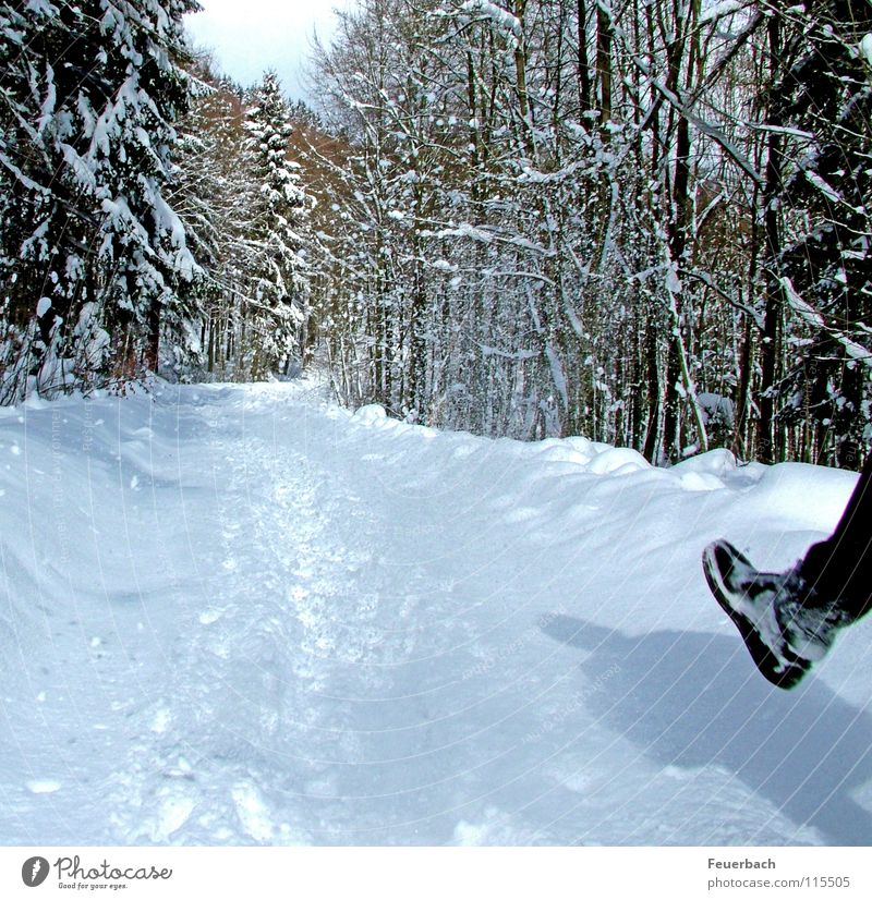 Neuschnee Winter Schnee wandern Beine Fuß Natur Landschaft Wetter Schönes Wetter Eis Frost Baum Wald Wege & Pfade Schuhe Wanderschuhe kalt weiß Flocke Fußweg