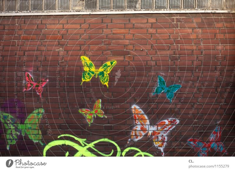 schmetterlinge fangen Subkultur Haus Mauer Wand Tier Schmetterling Tiergruppe Stein Graffiti Fröhlichkeit Unendlichkeit einzigartig Lebensfreude