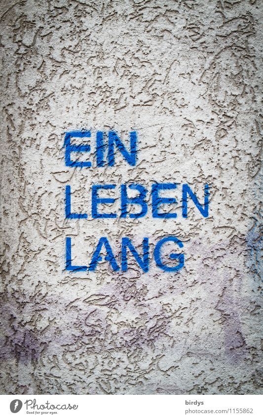 Buchcover Biographie Lifestyle Mauer Wand Putzfassade Schriftzeichen außergewöhnlich blau grau Lebensfreude Erfolg Akzeptanz Menschlichkeit Rechtschaffenheit