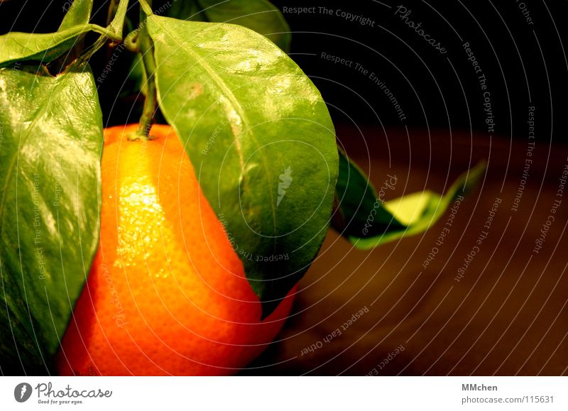 Hmmmma...ndarine Mandarine Blatt frisch grün ungeschält spritzen Spanien Brasilien Vitamin Zitrusfrüchte Frucht Vegetarische Ernährung orange Stengel Frischobst