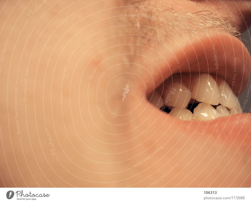FEHLVERHALTEN maskulin Zähne Konflikt & Streit Aggression verrückt Wut Schmerz beißen Intimität Einblick Fehlstellung dental Zahnarzt verzogen fletschen bissig