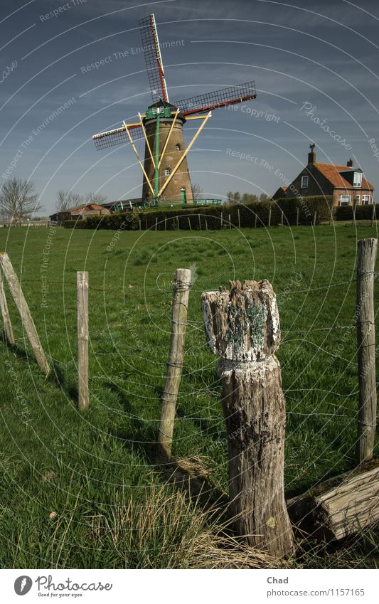 Langlebig | Holland Klischee Ferien & Urlaub & Reisen Tourismus Windkraftanlage Windmühle Natur Frühling Gras Wiese Haus Gebäude Zaunpfahl Stacheldrahtzaun Holz