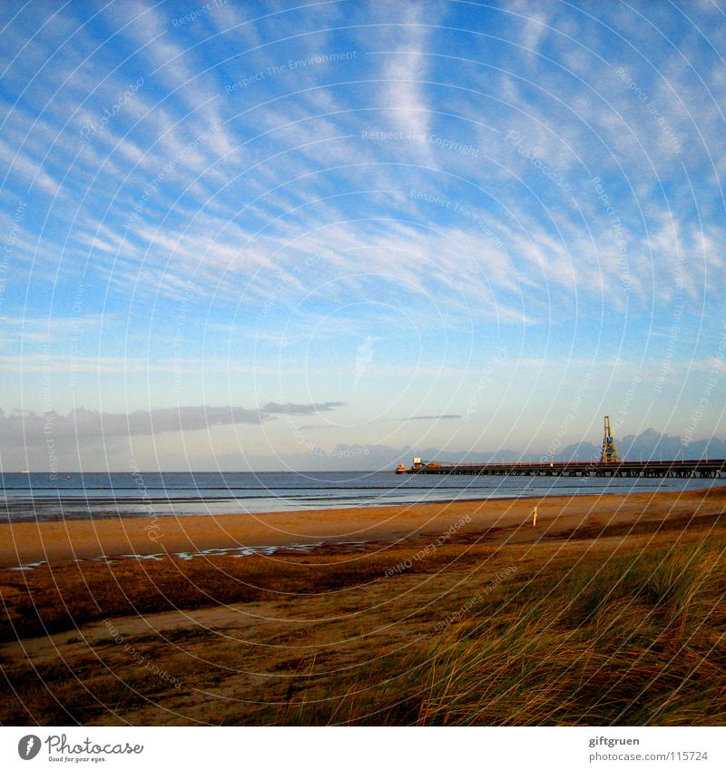 herbstlandschaft V Herbst Herbstlandschaft Küste mehrfarbig Jahreszeiten Strand Meer Wolken Vergänglichkeit Oktober November schlechtes Wetter Himmel Nordsee