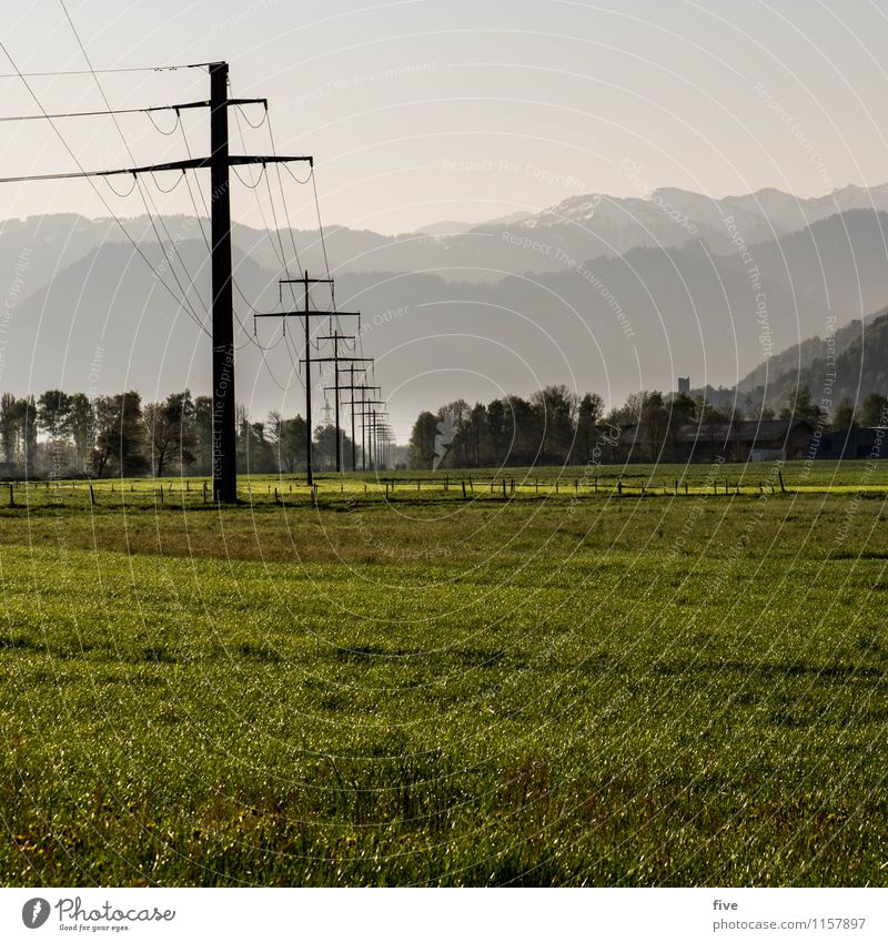 T Umwelt Natur Landschaft Himmel Sommer Wetter Baum Gras Wiese Feld Hügel Alpen Berge u. Gebirge Unendlichkeit Wärme Strommast Farbfoto Außenaufnahme Morgen