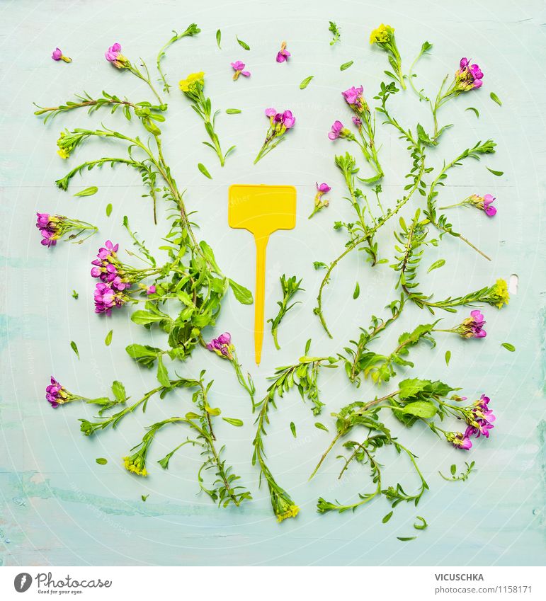 Gelber Pflanzenschild und Gartenblümchen Design Sommer Natur Blume Zeichen Schutzschild schreien Stil Hintergrundbild Top Schilder & Markierungen Blumenschild