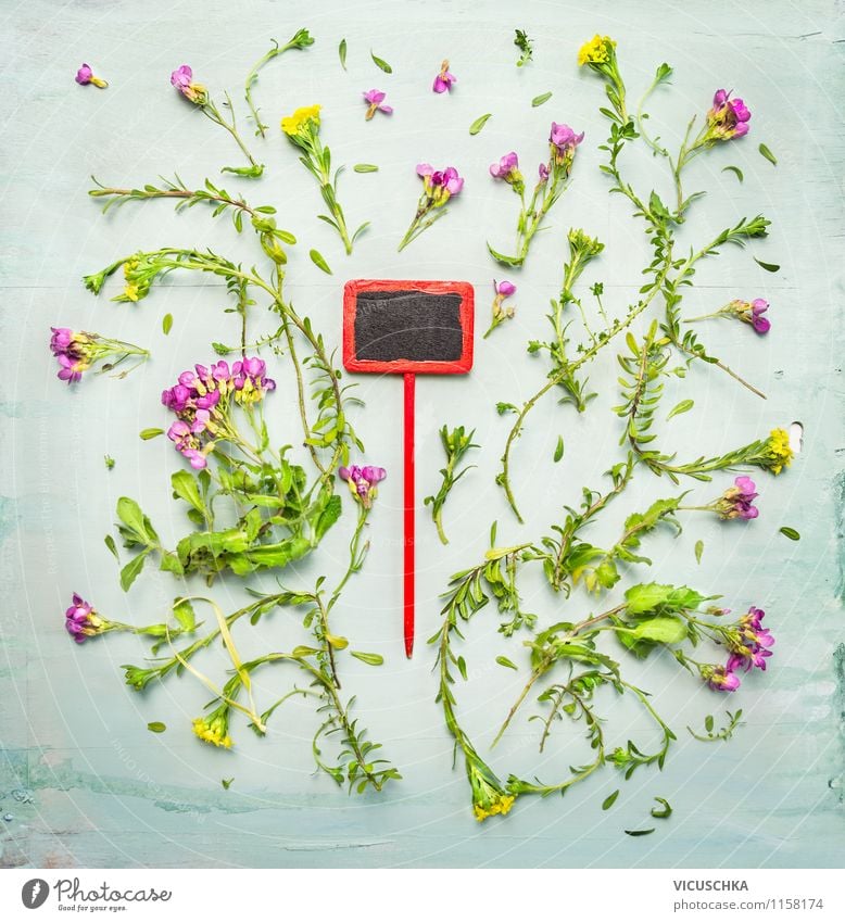 Pflanzen Schild mit pink gelbe Bodendecker Blumen elegant Stil Design Freizeit & Hobby Sommer Garten Dekoration & Verzierung Tisch Natur Frühling Herbst Blatt