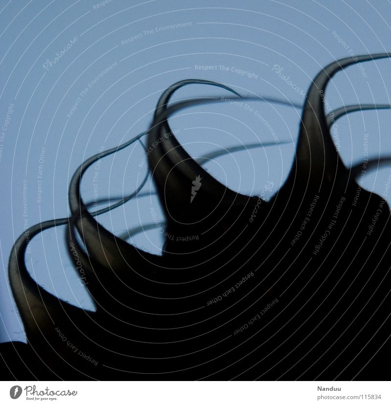 silicone valley Silikon Gummi Dinge Dingsbums Gegenlicht abstrakt Hintergrundbild seltsam filigran außergewöhnlich durchsichtig Neunziger Jahre Techno