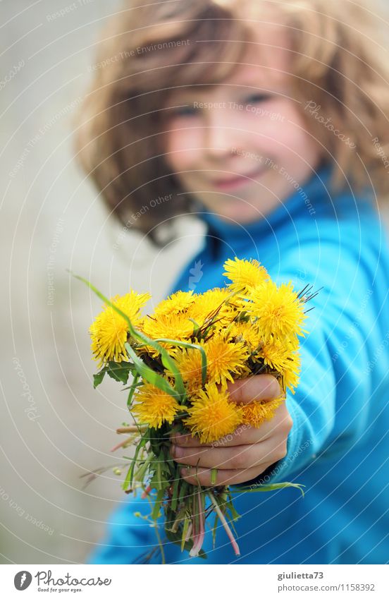 Blumen für dich! Mensch androgyn Kind Junge Kindheit 1 3-8 Jahre Umwelt Pflanze Frühling Sommer Löwenzahn Blumenstrauß langhaarig Locken schön blau gelb