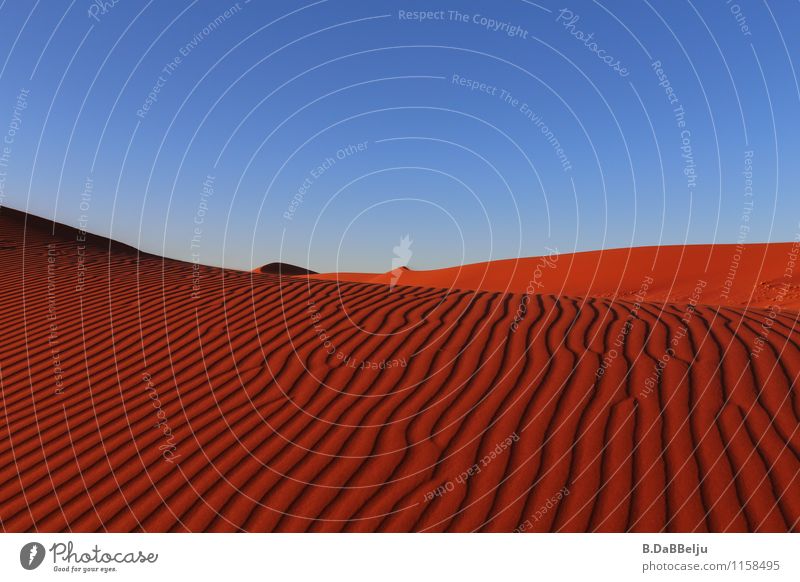 Rote Wellen Ferien & Urlaub & Reisen Abenteuer Ferne Safari Wüste Erde Sand Wolkenloser Himmel Wärme Dürre Namib Namibia Afrika Menschenleer entdecken