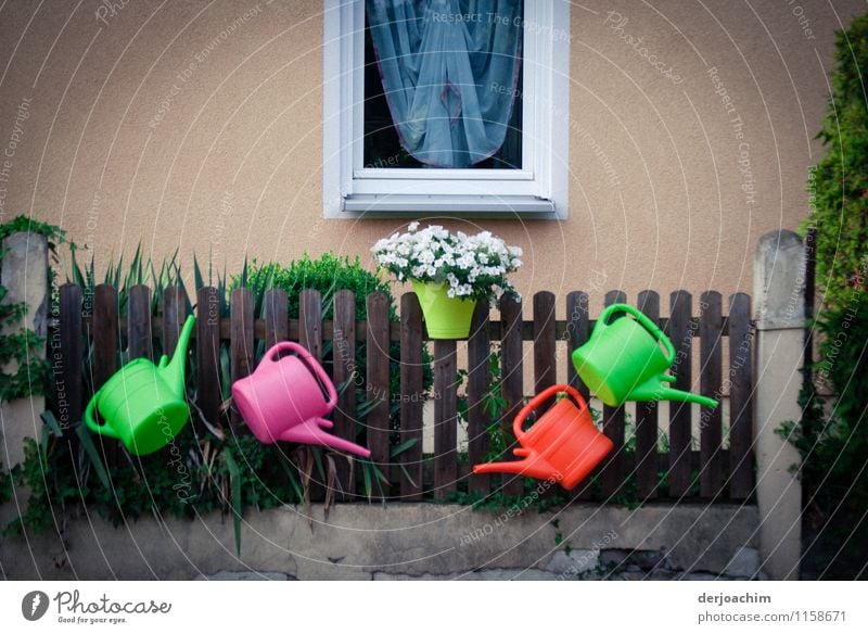 Verschiedene Farbige Gießkannen hängen an einem Zaun . Mit einem Blumentopf in der Mitte geschmückt. Im Hintergrund ein Fenster mit Gardine. Design harmonisch