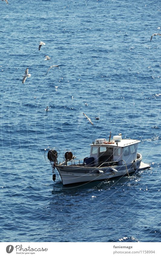 bateau de pêche Umwelt Natur Landschaft Wasser Schönes Wetter Wind Wellen Meer fliegen Fischerboot Angeln Möwe Marseille Südfrankreich Provence Mittelmeer