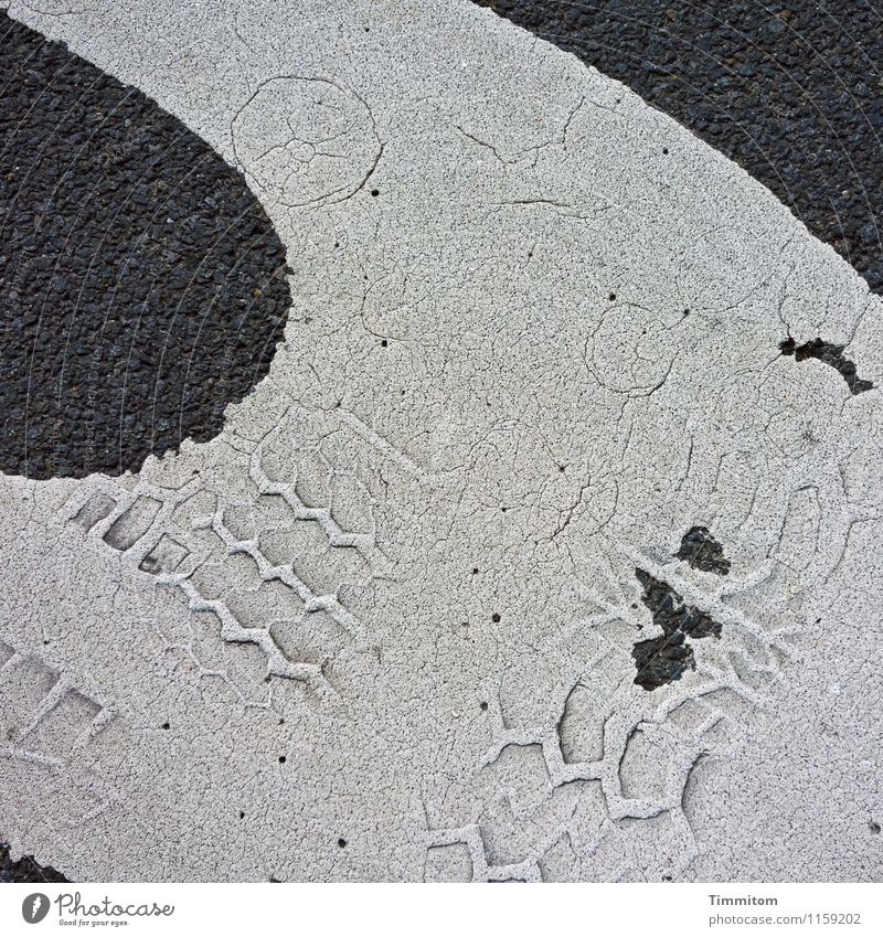 Profilneurose? Verkehrswege Straße Verkehrszeichen Verkehrsschild Schilder & Markierungen ästhetisch einfach grau schwarz weiß Asphalt Farbe Reifenprofil