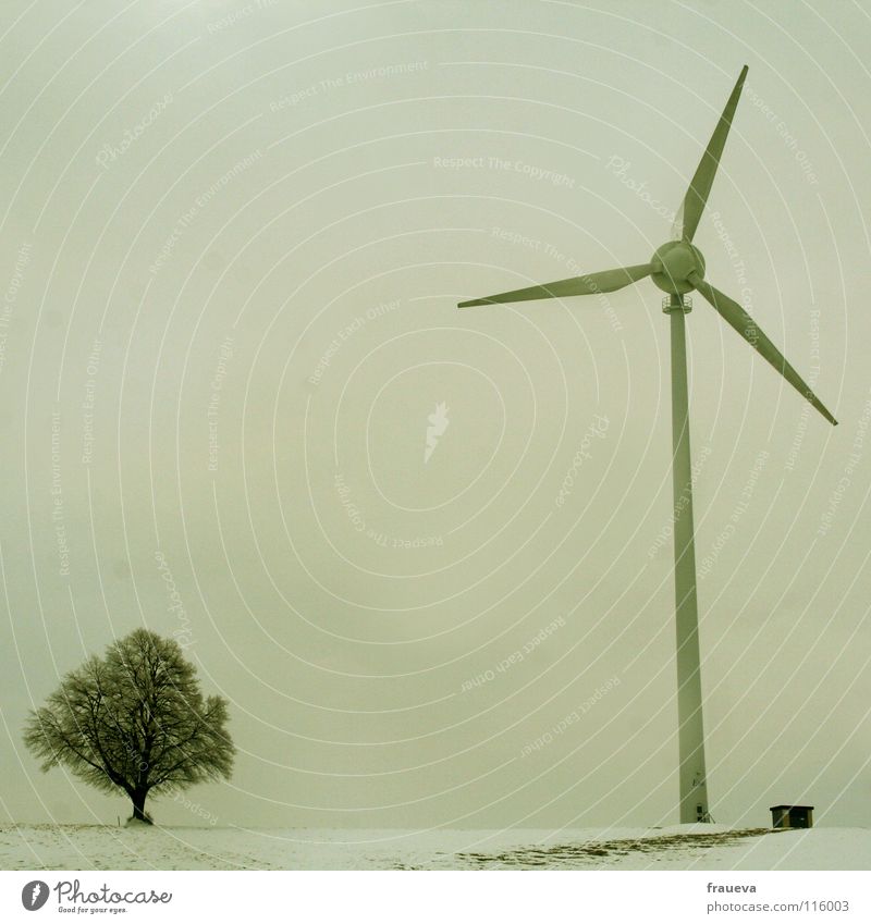 eva Baum Windkraftanlage Elektrizität grau Winter kalt ökologisch Erneuerbare Energie modern Elektrisches Gerät Technik & Technologie Natur Energiewirtschaft