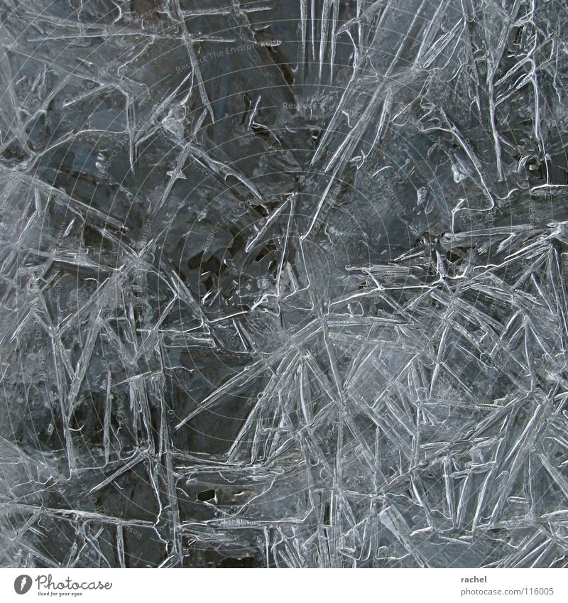 Frostzauber II See Bach Moor erfrieren erstarren Eis kalt tiefgekühlt gefroren Aggregatzustand Minusgrade tauen schmelzen Winter Dezember Romantik glänzend