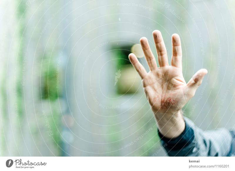 FR UT | Fünf-Zehn-Hundert Mensch maskulin Mann Erwachsene Hand Finger Handballen Hautfalten Zeichen 5 kaputt blau grün Schmerz Wunde Abdruck Sturzfolgen