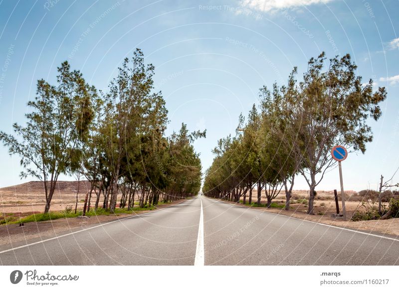 Geradeaus Ferien & Urlaub & Reisen Ausflug Natur Landschaft Erde Wolkenloser Himmel Horizont Sommer Schönes Wetter Baum Allee Fuerteventura Spanien Verkehr