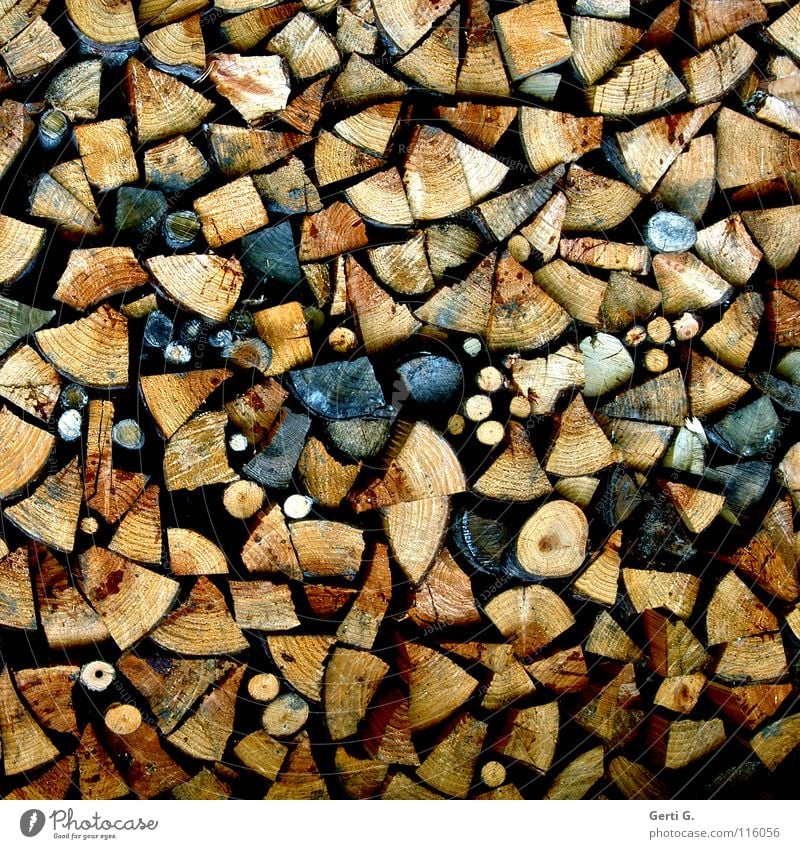 Yvonne sein Holz vor der Hütte Brennholz anzünden Holzhacken Axt rund eckig Eiche Buche trocken Keule brennen Holzstapel Ordnung Material Handwerk Brand
