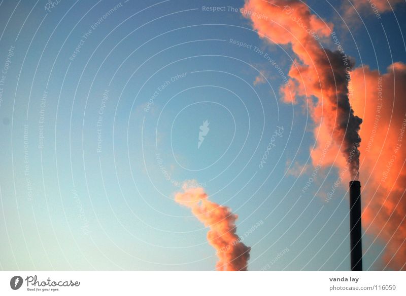 Frischluftnot und Abendrot Kohlekraftwerk Sonnenuntergang heizen rosa Umwelt Umweltverschmutzung Kyoto Luft Umweltsünder Kohlendioxid Abgas Luftverschmutzung