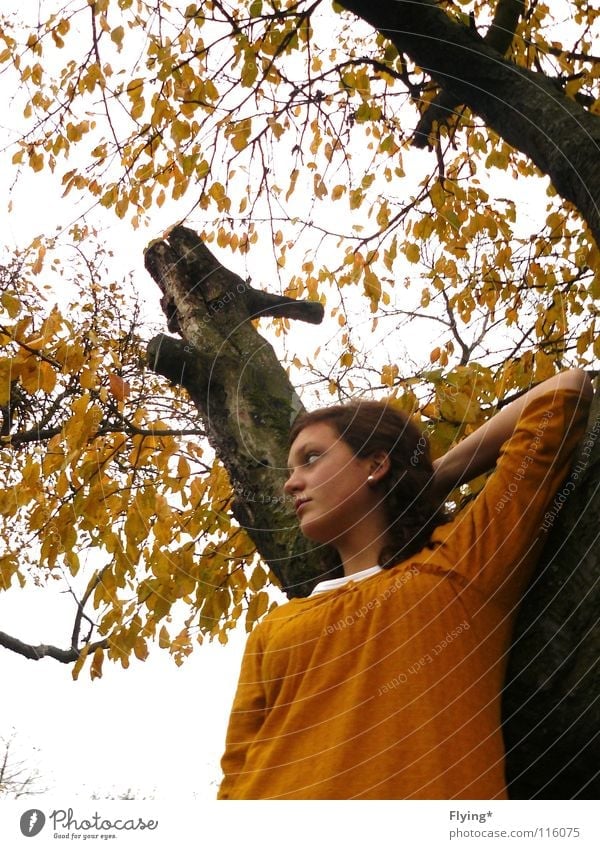 HerbstSingSang Blatt Baum Geäst gelb Körperhaltung Himmel Frau entspannt entspannung herbstlich Baumstamm Ast Locken