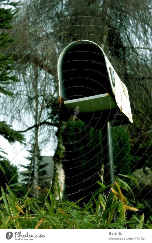 Yvonne ihr seine Mailbox Briefkasten Post Information E-Mail Birke Blatt Baum grün Wald verfallen regendicht wettergeschützt Nistkasten Brutkasten senden