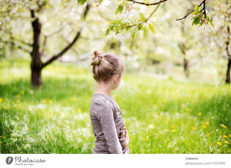 wiesenkind Mensch maskulin feminin Kind Mädchen Kindheit 1 3-8 Jahre Umwelt Natur Landschaft Sonne Frühling Schönes Wetter Garten Wiese beobachten entdecken