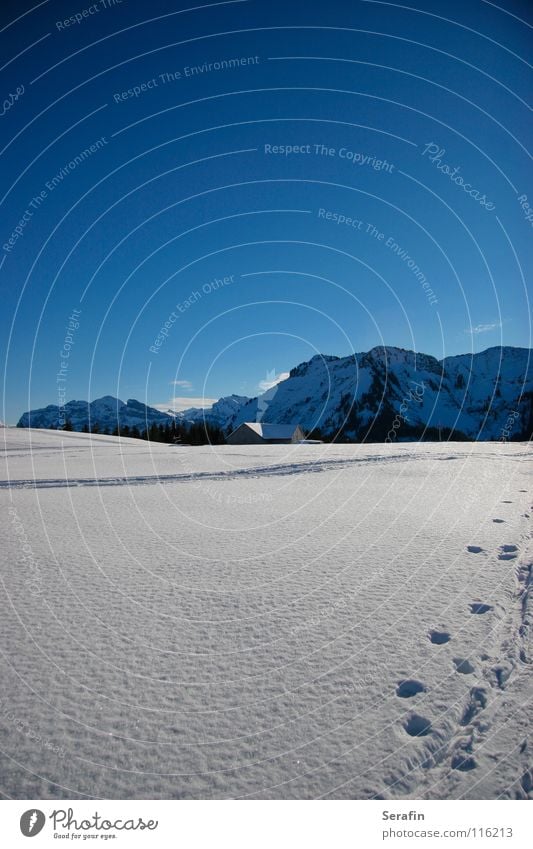 Hüttenzauber Winter Dezember kalt Wintersonne Wintersport Schnee Eis Spuren Wege & Pfade Alm