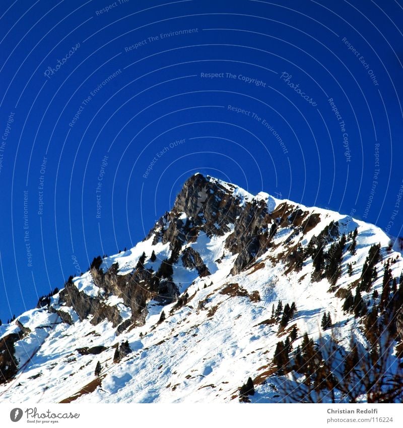 Gipfel Stein See Schneeschmelze Fichte Gipfelkreuz Winter Berge u. Gebirge Alpen Felsen Himmel blau Waldgrenze