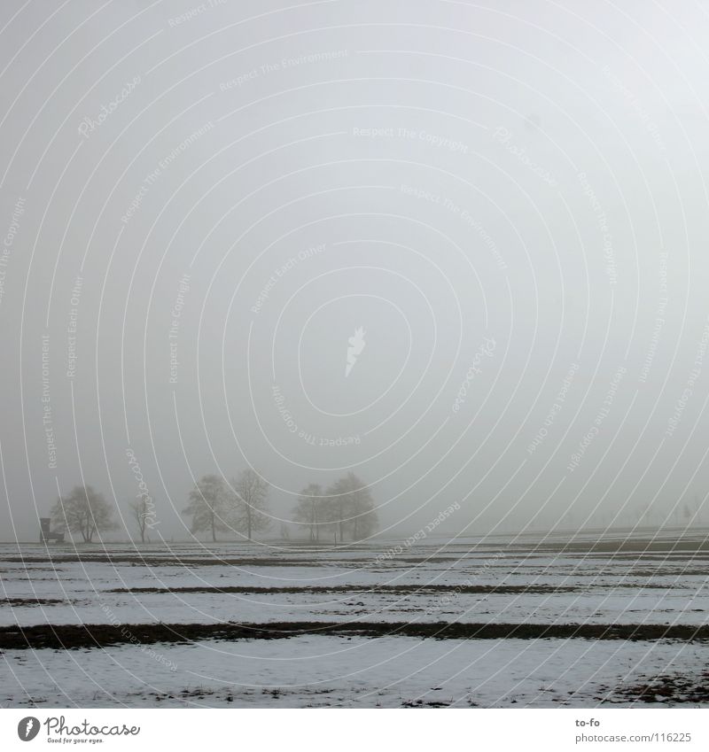 November 2 Nebel grau trist Herbst Feld kalt Einsamkeit Winter Wege & Pfade Schnee ruhig