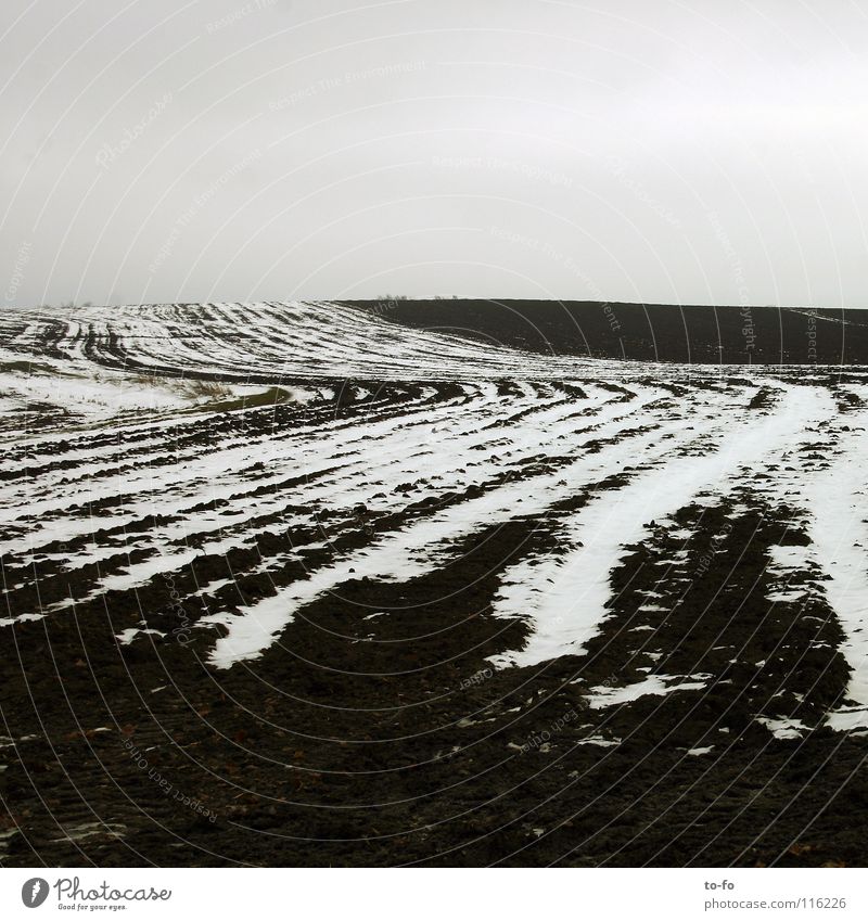 November 3 grau trist Herbst Feld kalt Einsamkeit Schnee ruhig Kontrast Strukturen & Formen