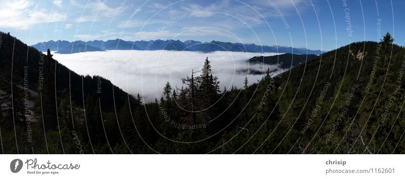 Nebel im Tal Umwelt Natur Landschaft Himmel Wolken Horizont Pflanze Baum Hügel Alpen Berge u. Gebirge Gipfel Gefühle Freude Glück Abenteuer entdecken Erholung