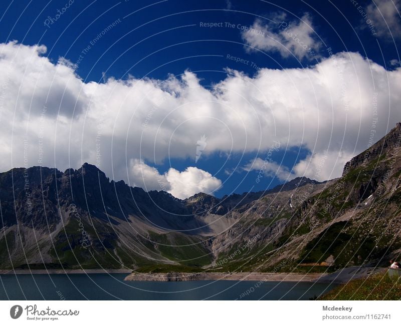 Wolkenbahnen Umwelt Natur Landschaft Pflanze Wasser Himmel Sonne Sommer Schönes Wetter Wärme Gras Sträucher Grünpflanze Wildpflanze Alpen Berge u. Gebirge