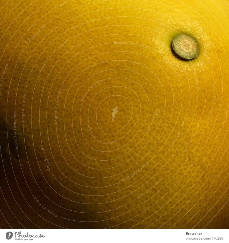 Venushügel Bauchnabel gelb Liebling Versuch Orangenhaut Wellness Grapefruit Pomelo Zitrusfrüchte Pore Vergänglichkeit Haut gold Älterwerden Lady Chatterley