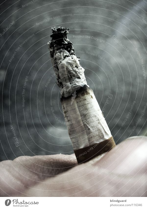 Vorsätzlich Filterzigarette Makroaufnahme Zigarettenstummel Zigarettenasche Glut brennen ungesund gesundheitsschädlich Gesundheitsrisiko Nikotin Nikotingeruch