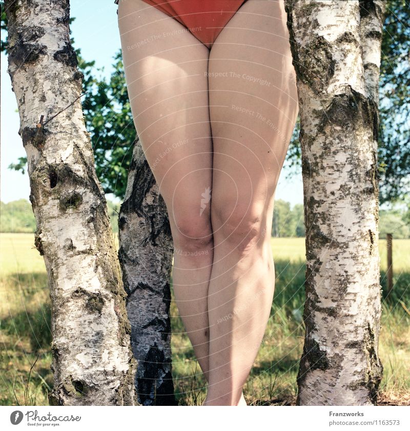 wärmer feminin Frau Erwachsene Haut Beine 1 Mensch Natur Frühling Sommer Schönes Wetter Unterwäsche genießen stehen frei Glück einzigartig natürlich